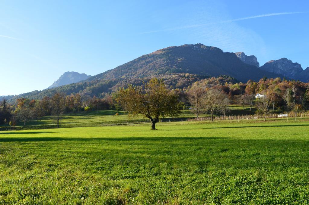 B&B Giardini Dell'Ardo Belluno Extérieur photo